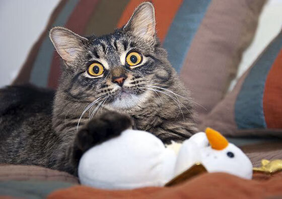 中超出战国际热身赛 复仇结局令人意外,中超球队热身赛