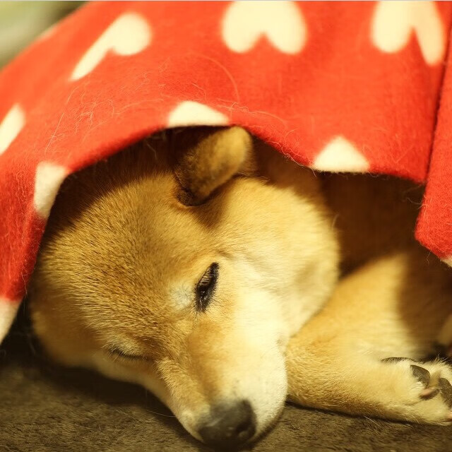 五大联赛控球时间增长是否影响场均进球数,五大联赛传控球队