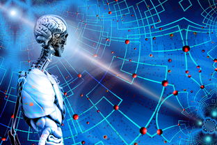 开云体育官方网站-体育新闻中心上线体育赛事数据可视化展示平台，体育新闻(全程回放)